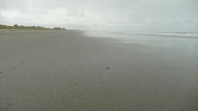 We are enjoying the vastness of a huge and empty beach.